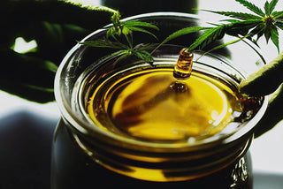 CBD Oil For Sciatica & Bulging Disc Pain: What To Know