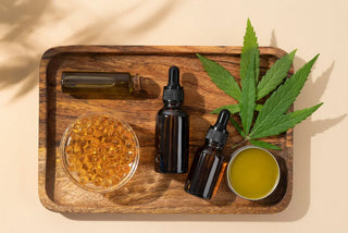 CBD Oils and Cholesterol: All You Need To Know
