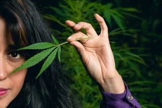 CBD Oil For Sex: Can It Make It Better?