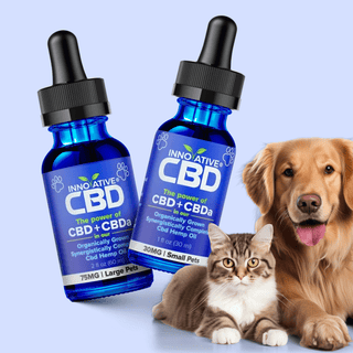 Two bottles of Innovative CBD oil with a cat and dog on a light blue background