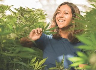 Why Smoke CBD? Surprising Benefits Of Smoking Hemp