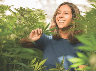 Why Smoke CBD? Surprising Benefits Of Smoking Hemp