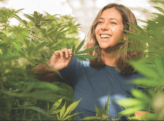 Why Smoke CBD? Surprising Benefits Of Smoking Hemp