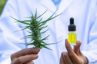 Benefits and Uses of CBD Oil