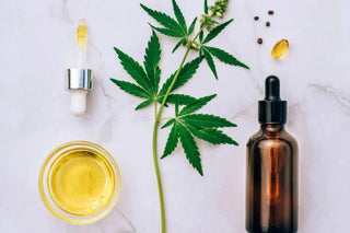 CBD oil for rotator cuff pain - shoulder comfort and recovery support