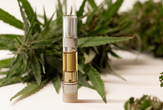 How Fast Does a CBD Vape Pen Work? CBD Oil vs Vape Absorption
