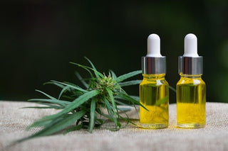 What’s the Difference Between Hemp Oil and CBD Oil