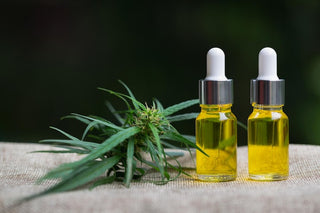 What’s the Difference Between Hemp Oil and CBD Oil