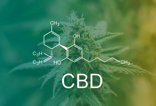 The Ultimate Guide to CBD for Beginners