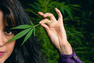 CBD Oil For Sex: Can It Make It Better?