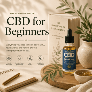 Editorial wellness scene for a beginner CBD guide featuring Innovative CBD full-spectrum CBD + CBDa oil, soft botanical styling, warm natural light, and premium educational design elements.