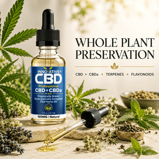 What Most CBD Brands Remove During Processing (And Why It Matters)