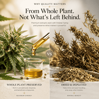Educational wellness graphic comparing fresh trichome-rich hemp and preserved full-spectrum extract with dried depleted hemp material, illustrating how whole-plant preservation supports cannabinoid, terpene, and botanical compound retention.