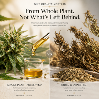 Educational wellness graphic comparing fresh trichome-rich hemp and preserved full-spectrum extract with dried depleted hemp material, illustrating how whole-plant preservation supports cannabinoid, terpene, and botanical compound retention.