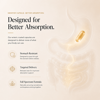 “Educational graphic showing enteric coated full spectrum CBD capsule absorption and targeted delivery support.”