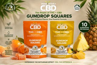 Innovative CBD Gumdrop Squares hero image featuring Tangerine and Pineapple full spectrum THC + CBD gumdrops in updated 10-count packages with organically grown hemp and fruit flavor imagery.