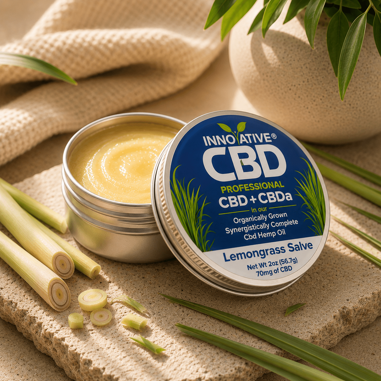 Full Spectrum CBD Salve | Botanical Wellness Balm | Innovative CBD
