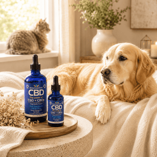 Golden retriever and cat relaxing in a warm luxury home setting beside Innovative CBD full spectrum CBD and CBDa tinctures for small and large pets.