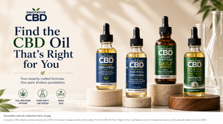 Innovative CBD oil collection featuring Professional Full Spectrum, 2:1 CBD + THC, Broad Spectrum, and Basics CBD oil formulas.
