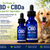Innovative CBD pet tincture hero image featuring small and large pet CBD + CBDa hemp oil tinctures with a dog and cat, highlighting full spectrum hemp extract, pet wellness, comfort, mobility, and THC-free formula.