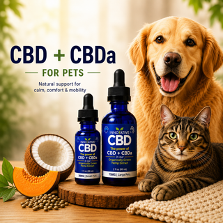 Square collection image for Innovative CBD pet tinctures featuring CBD + CBDa full spectrum hemp extract for pets with a golden retriever and tabby cat alongside premium pet wellness tinctures in a warm natural setting.