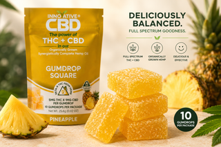 Premium collection image of Innovative CBD Pineapple Gumdrop Squares featuring full spectrum THC + CBD hemp gummies, pineapple flavor imagery, and updated 10-count packaging in a wellness-inspired setting. 
