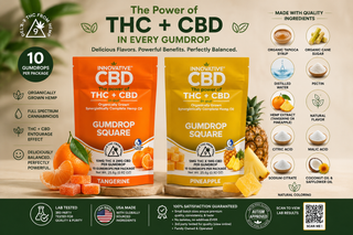 Collage image of Innovative CBD THC + CBD Gumdrop Squares in Tangerine and Pineapple flavors featuring full spectrum hemp extract, ingredient highlights, 10-count packaging, and organically grown hemp wellness benefits.
